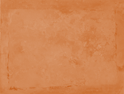 Displayed Image