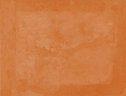 Displayed Image