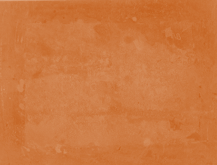Displayed Image